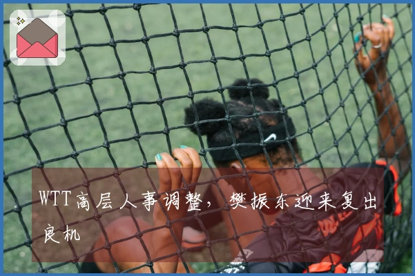 WTT高层人事调整，樊振东迎来复出良机